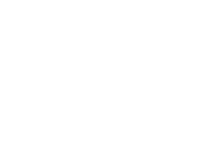 icon-mail-hvid